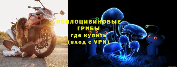 гидропоника Новодвинск