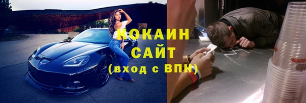 гидропоника Новозыбков
