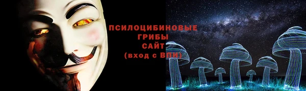 дмт Новокубанск
