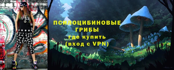 гидропоника Новозыбков