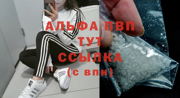 гидропоника Новозыбков