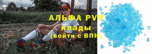 гидропоника Новозыбков