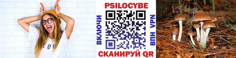 закладки  Мегион  Галлюциногенные грибы Magic Shrooms 