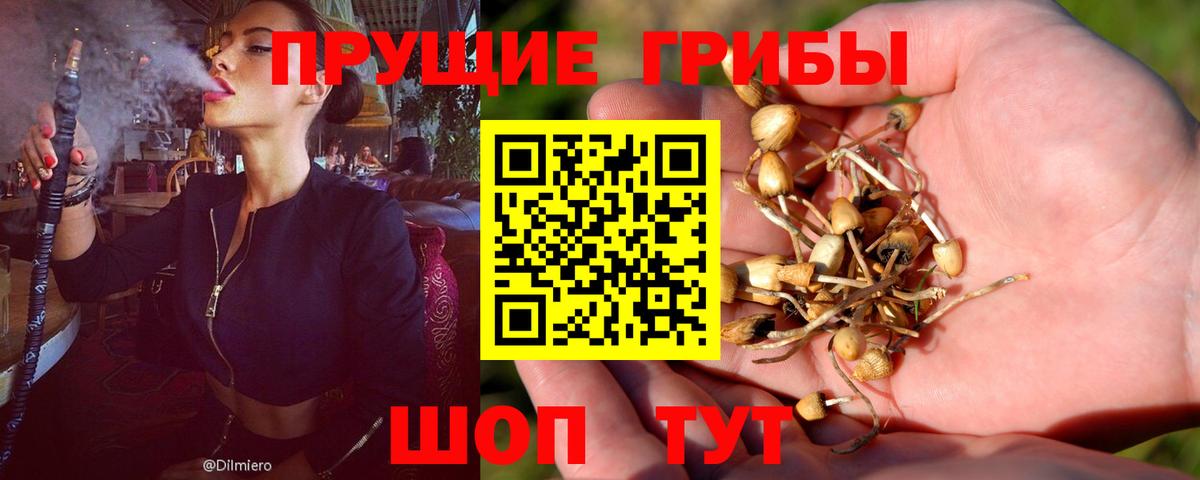 Мегион  где можно купить   Вход с VPN  Галлюциногенные грибы Magic Shrooms 